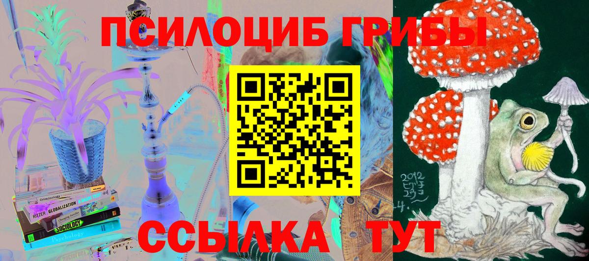 закладки  Галлюциногенные грибы Magic Shrooms  Вход с VPN  Ярцево 