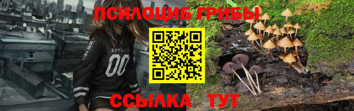 Псилоцибиновые грибы Magic Shrooms Ярцево